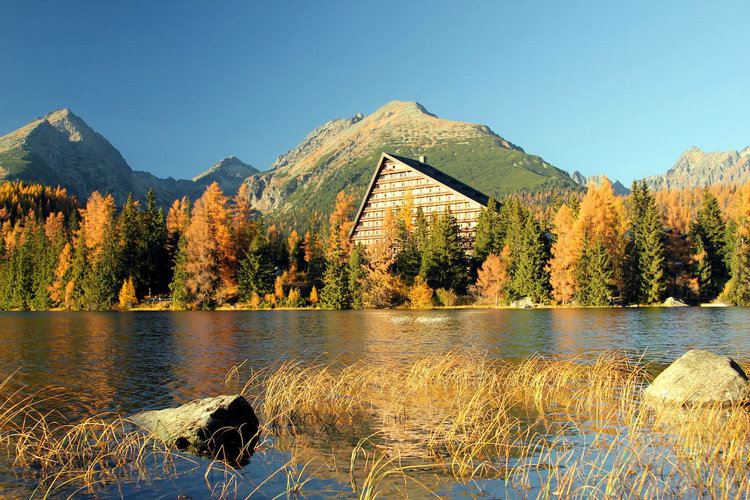 水質(zhì)檢測(cè)儀 水質(zhì)檢測(cè)儀